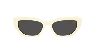 Burberry Woman Sunglass Be4463d In Multi