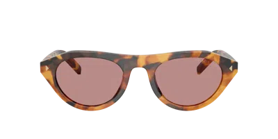 Prada 52mm Polarized Irregular Sunglasses In Brown