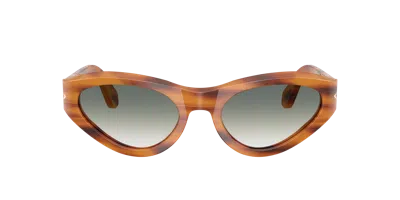 Persol Woman Sunglass Po0052s In Brown