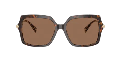 Michael Kors Woman Sunglass Mk2247u Quogue In Brown