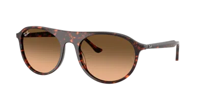 Ray Ban Ray