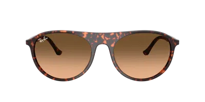 Ray Ban Ray