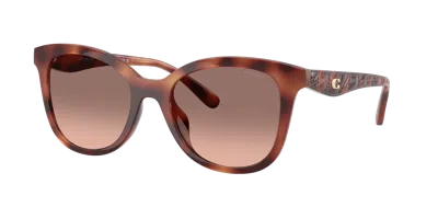 Coach Woman Sunglass Hc8419u Cad25 In Brown