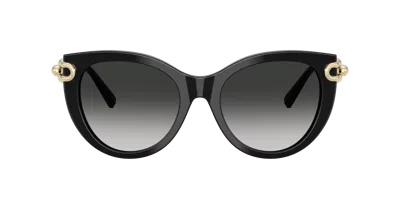 Tiffany & Co . Woman Sunglass Tf4232f In Gray