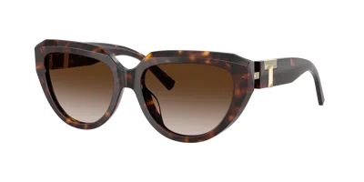 Tiffany & Co . 55mm Gradient Pillow Sunglasses In Brown