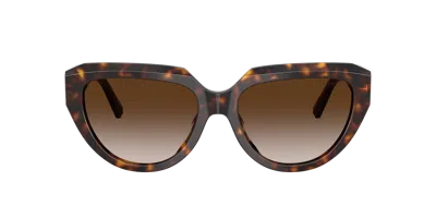 Tiffany & Co . 55mm Gradient Pillow Sunglasses In Brown