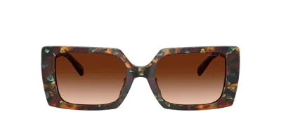 Coach Woman Sunglass Hc8409u Cw224 In Brown