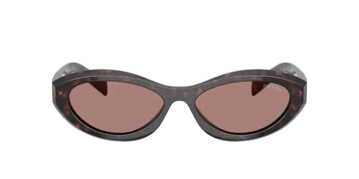 Prada Pr 26zs 17n60b 55mm Womens Oval Sunglasses In Brown