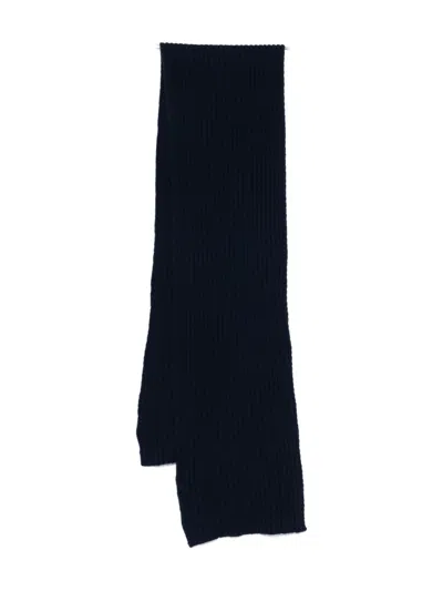 Dell'oglio Ribbed Scarf In Black