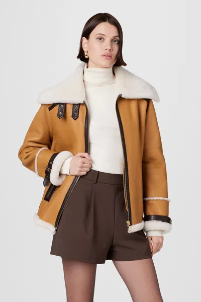 Toccin Minna Shearling Jacket In Brown