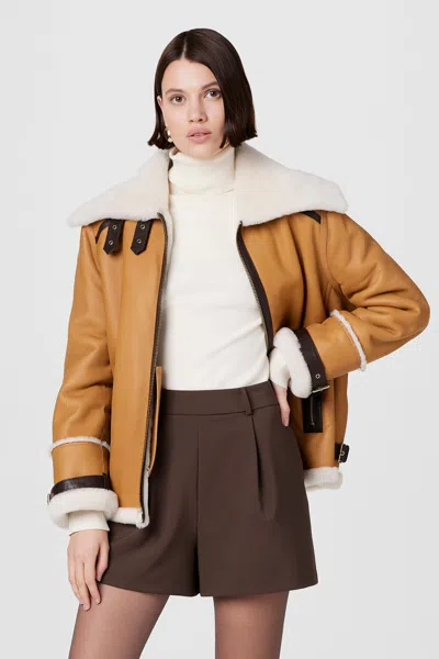 Toccin Minna Shearling Jacket In Brown