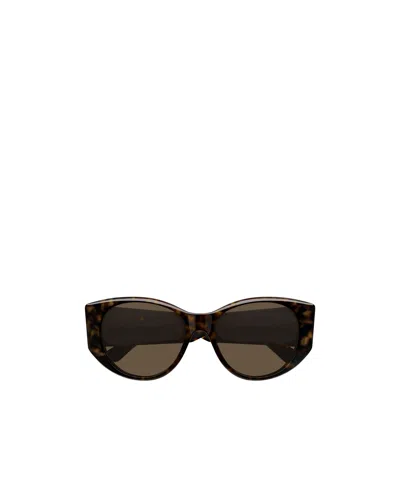 Balenciaga Bb0455s Linea Extreme 002 Havana Brown Sunglasses In Brown