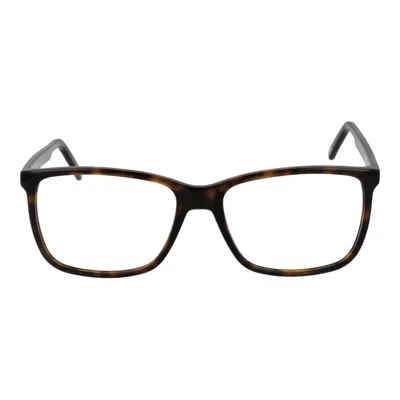 Andy Wolf Brown Acetate Glasses  (frames) In Multi
