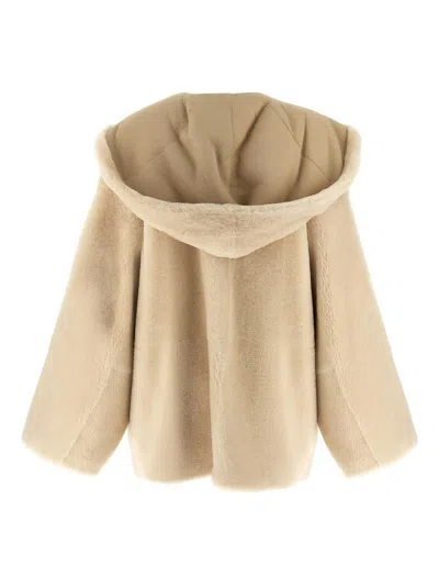 Alberta Ferretti Balenciaga Black-black-transparent Acetate Glasses In Neutral