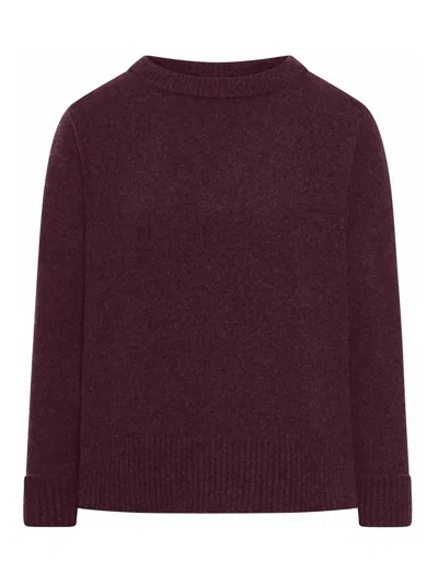 Roberto Collina Crew Neck Sweater In Wool Blend In Purple