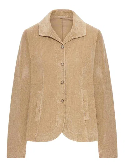 Transit Flared Velvet Ribbed Jacket In Brown