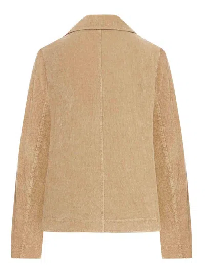 Transit Flared Velvet Ribbed Jacket In Brown