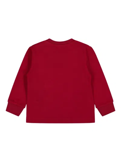 Iceberg Long-sleeve Graphic-print Sweater In Red