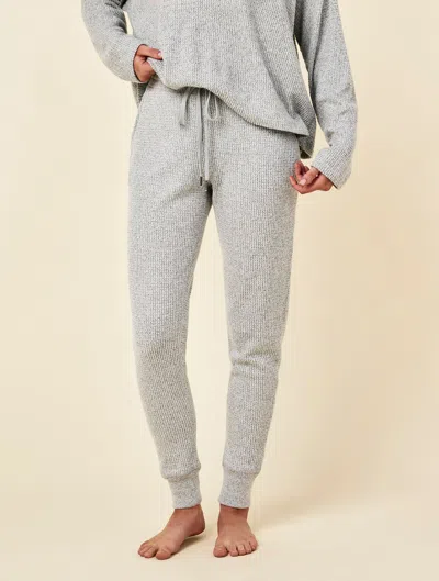 Papinelle Super Soft Waffle Jogger In Gray