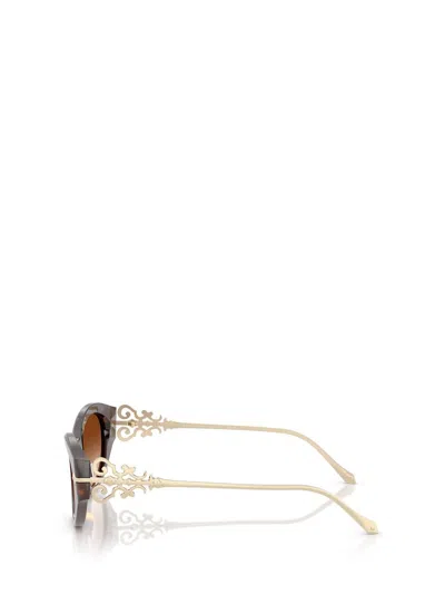 Ralph Lauren Sunglasses In Brown
