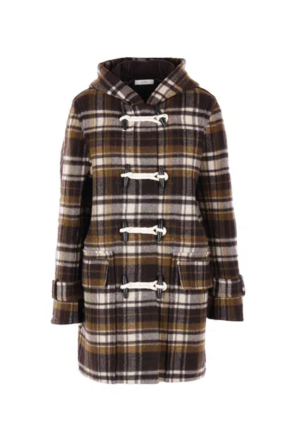 Co Ats In Brown