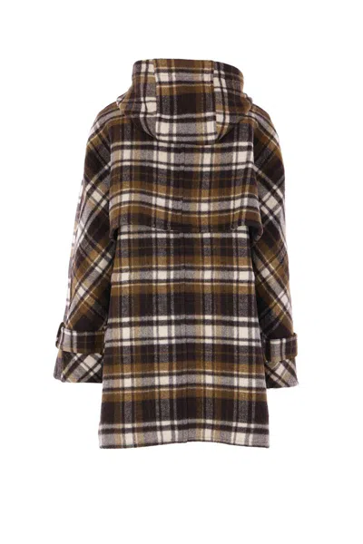 Co Ats In Brown