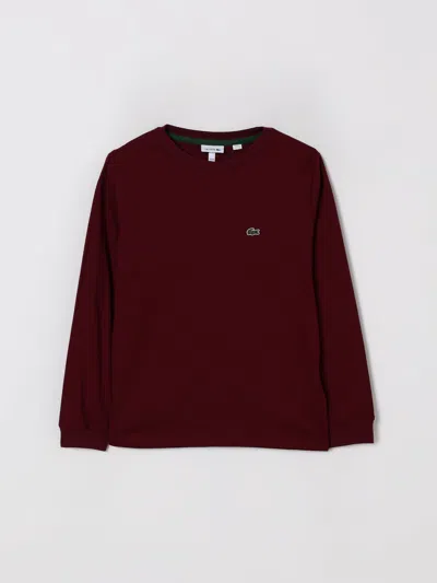Lacoste T-shirt  Kids Color Burgundy In Blue