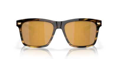 Costa Man Sunglass 6s2005 Aransas In Brown