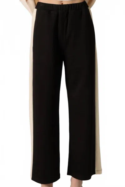 Before You Women's Buttermilk Collection Stripe Wide Leg Pant In Black In Black