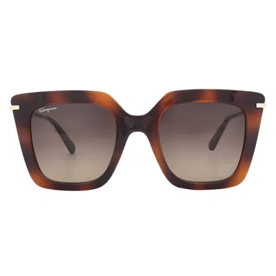 Ferragamo Brown Gradient Butterfly Ladies Sunglasses Sf1041s 238 51 In Brown