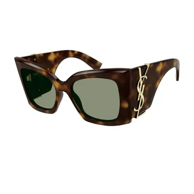 Saint Laurent Sl M119 Oversized Cat-eye Sunglasses In 002 Havana Havana Green