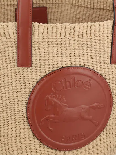 Chloé Bags In Brown