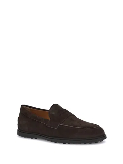 Tod's Loafers With Gommini On Back And Penny Strap In Brown