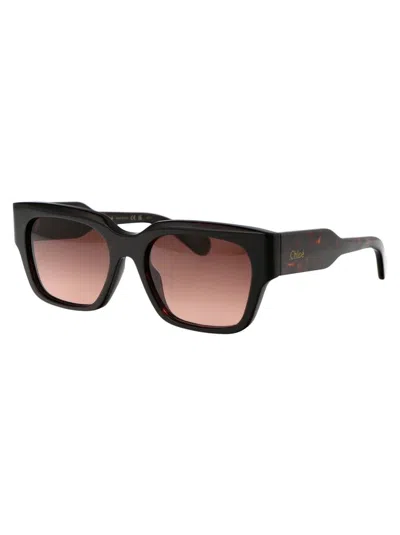Chloé Havana-havana-copper Acetate Sunglasses In Black