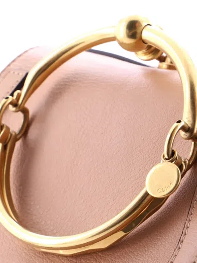 Pre-owned Chloé Nile Leather Small Crossbody Bag In Neutral