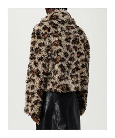 Msgm Leopard-print Jacket In Multi