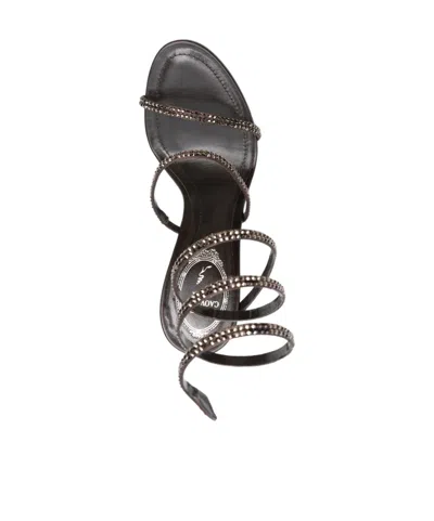 René Caovilla 80mm Cleo Sandals In Black