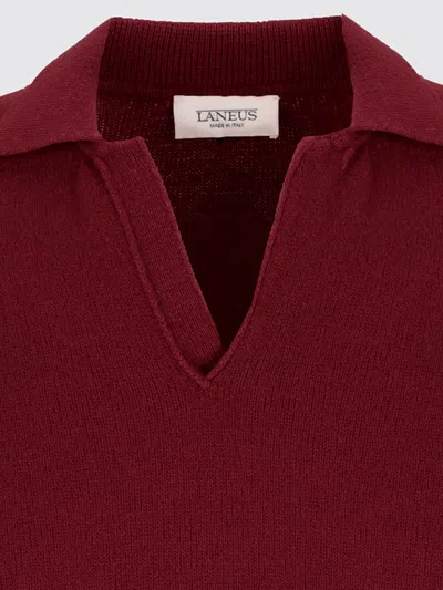 Laneus V-neck Sweater In Brown