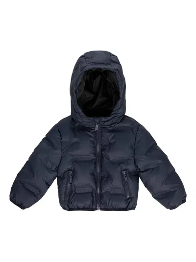 Iceberg Hooded Quilted Jacket In Blue