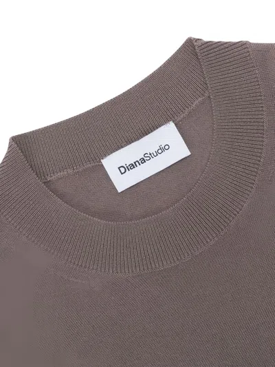 Diana Studio Crew-neck Long-sleeve Sweater In Brown