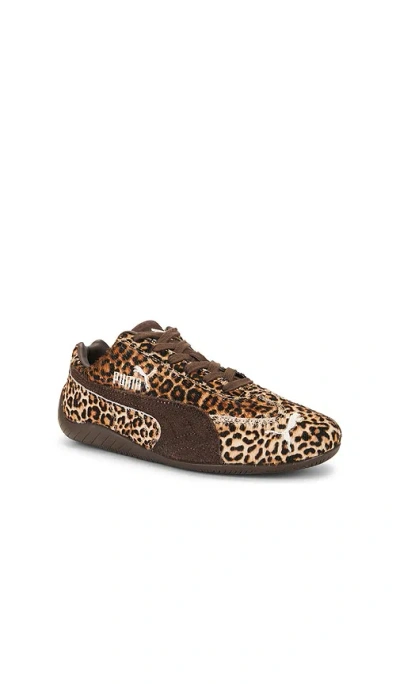Puma Womens Leopard Brown Speedcat Og Leopard Leather Trainers In Multi
