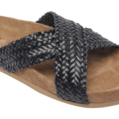 Dragon Diffusion Sandals In Black