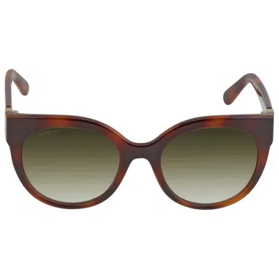 Ferragamo Green Cat Eye Ladies Sunglasses Sf1031s 214 53 In Brown