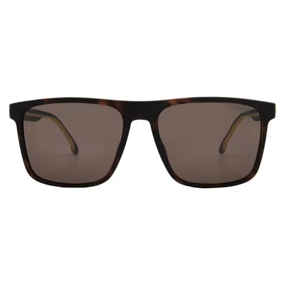 Carrera Brown Sport Men's Sunglasses  8064/s 0n9p/70 57 In Black