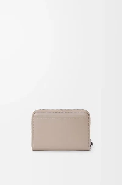 Loewe Zipped Coin Purse In Shiny Nappa Calfskin In Multi