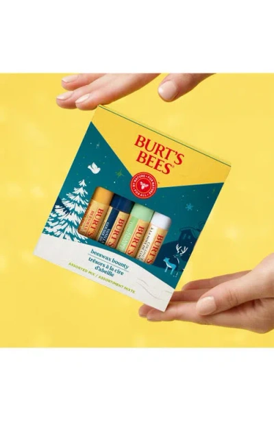 Burt's Bees Beeswax Bounty Lip Balm Gift Set In Multi