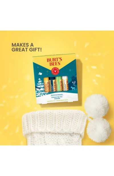 Burt's Bees Beeswax Bounty Lip Balm Gift Set In Multi
