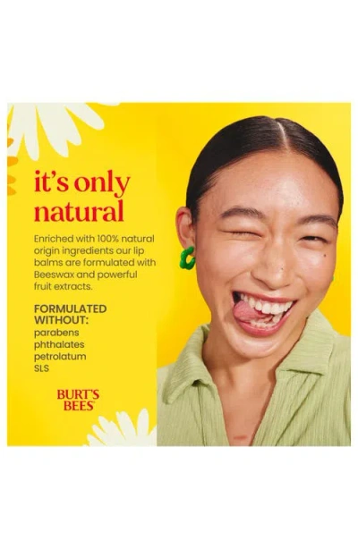 Burt's Bees Beeswax Bounty Lip Balm Gift Set In Multi