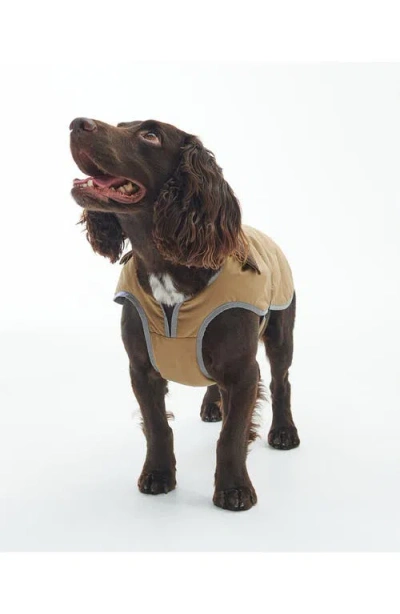 Barbour Monmouth Waterproof Dog Coat In Brown
