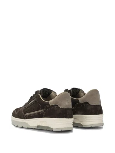 Musto Suede Panel Sneakers In Brown